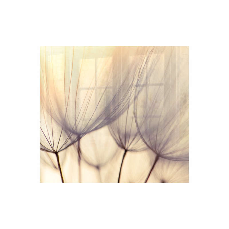DECORATIVE GLASS WALL TILE 598MM X 650MM DANDELION FLORET
