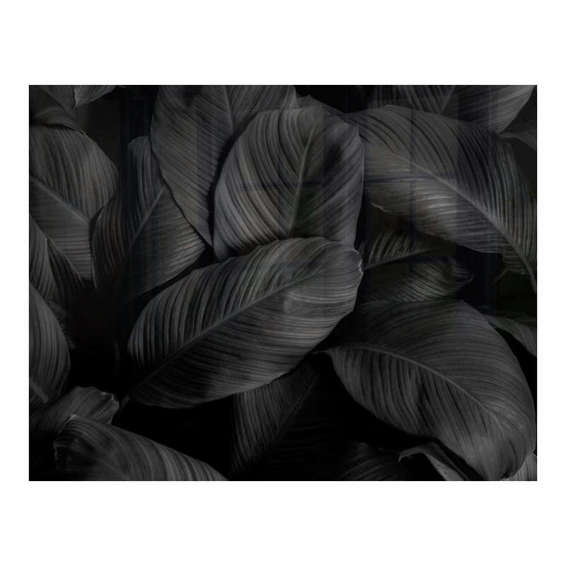 DECORATIVE GLASS WALL TILE 898MM X 700MM FEATHERS
