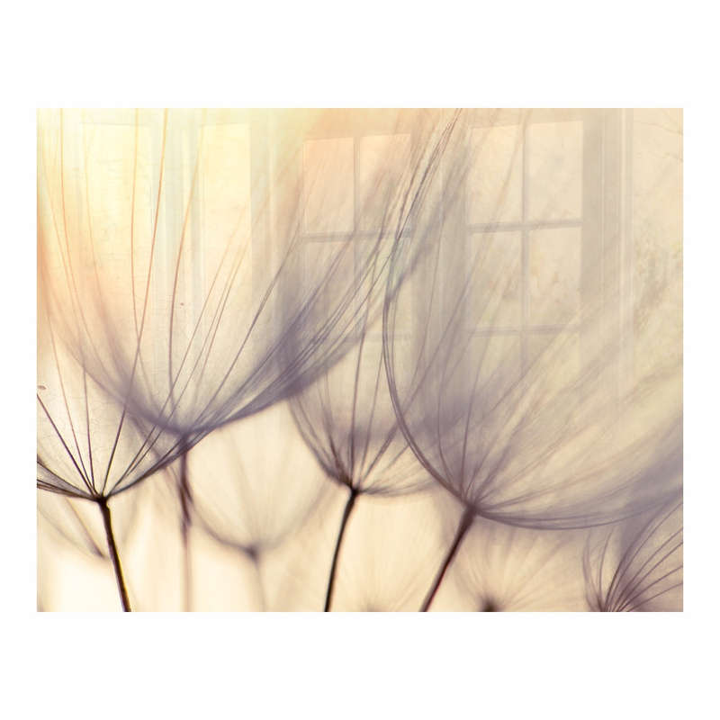DECORATIVE GLASS WALL TILE 898MM X 700MM DANDELION FLORET