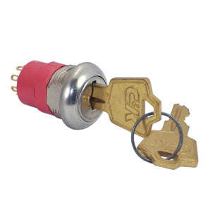 Switch keylock lrg sp 2pos 2kp y101140a201nqe
