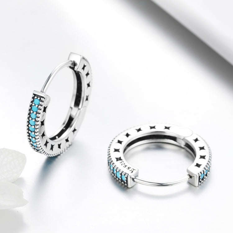 Simple Sparkle S925 Sterling Silver Earrings