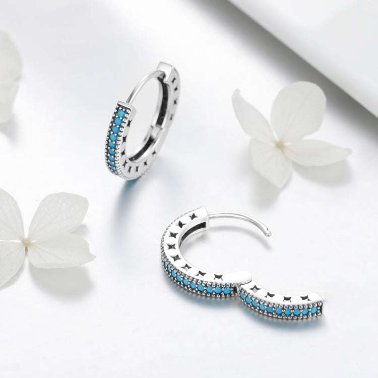 Simple Sparkle S925 Sterling Silver Earrings