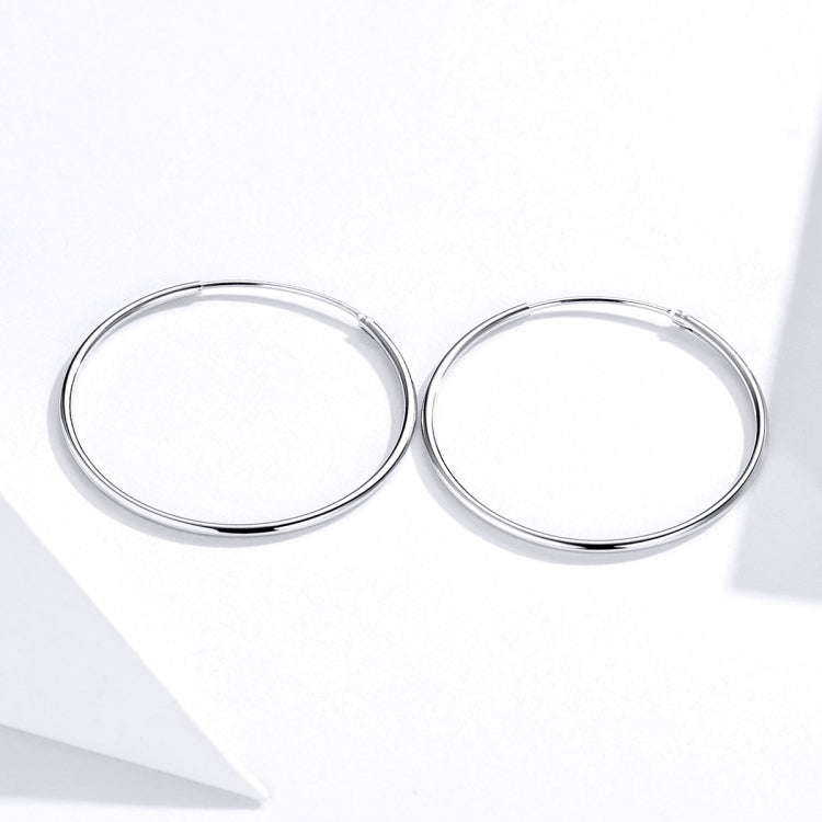 Sterling Silver Stud Earrings Big Earring S925 Silver Earrings Platinum Earrings