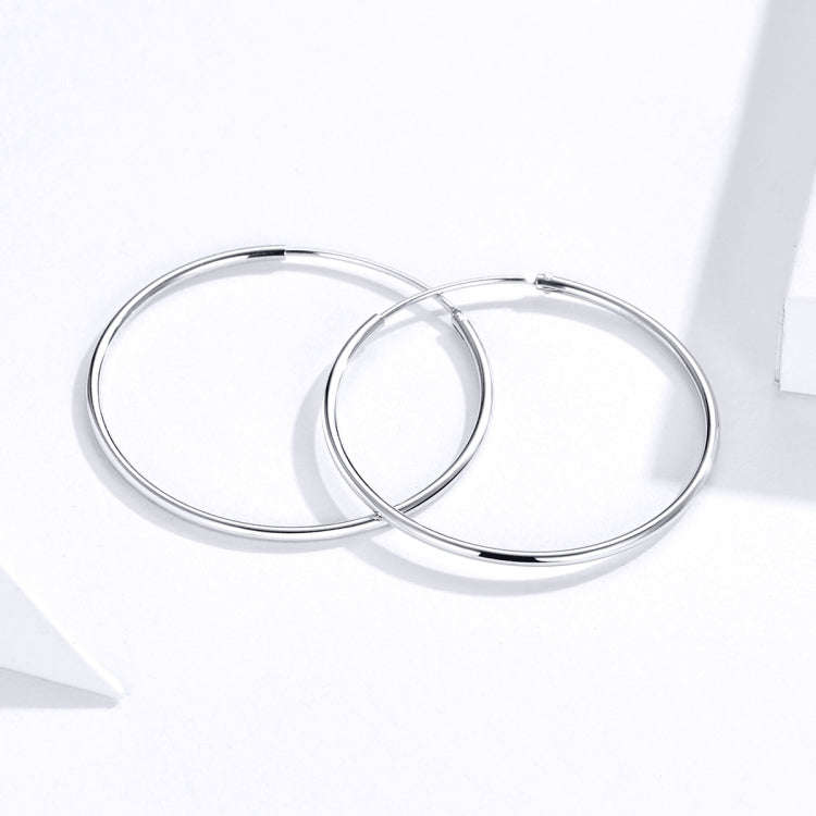 Sterling Silver Stud Earrings Big Earring S925 Silver Earrings Platinum Earrings