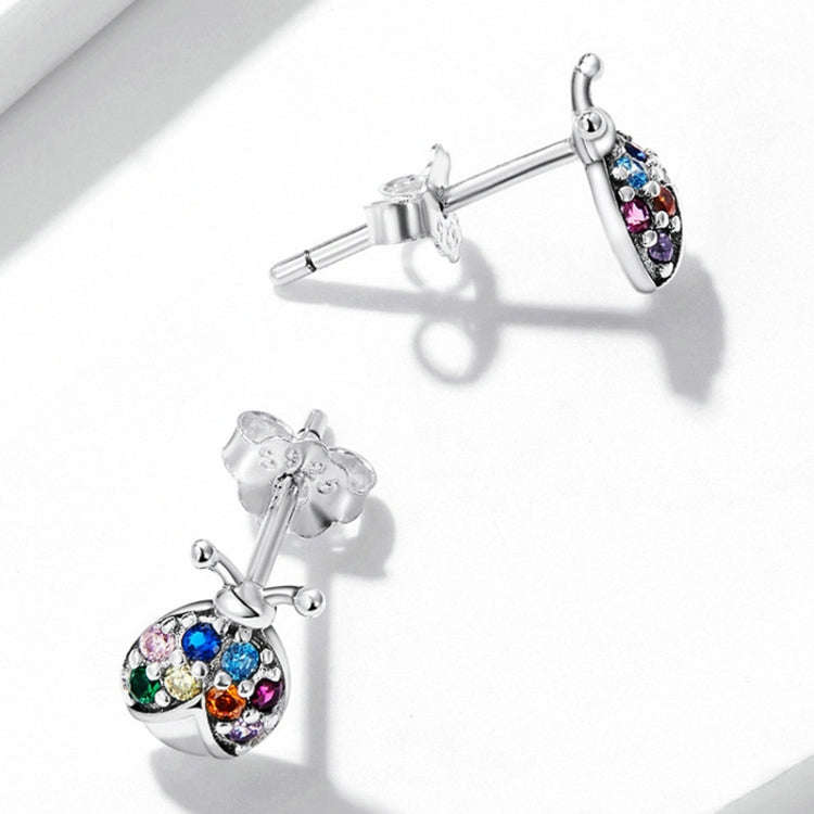 Insect Series Earrings 925 Silver Earrings, Style: Beetle