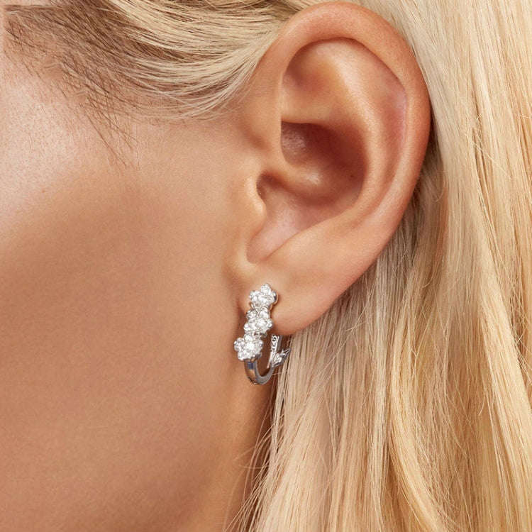 S925 Sterling Silver Flower Zircon Earrings(BSE982)