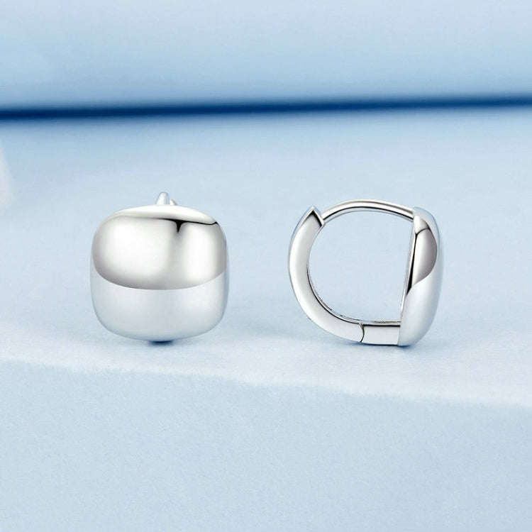 S925 Sterling Silver Platinum Plated Square Earrings(BSE973)