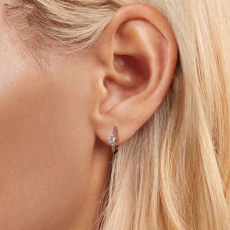 S925 Sterling Silver Zircon Star Earrings(BSE1090)