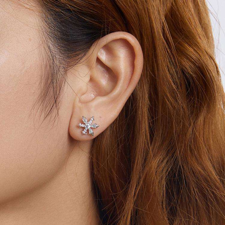 S925 Sterling Silver Winter Snowflake Earrings(BSE1132)