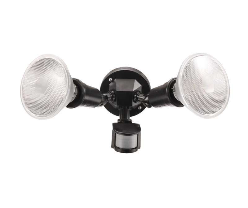 Motion Sensor Security Light