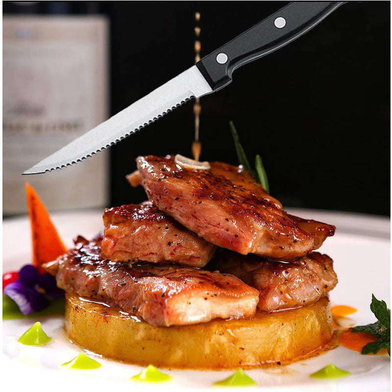 10 Piece Stainless Steel Cutlery Camping Set IL-1