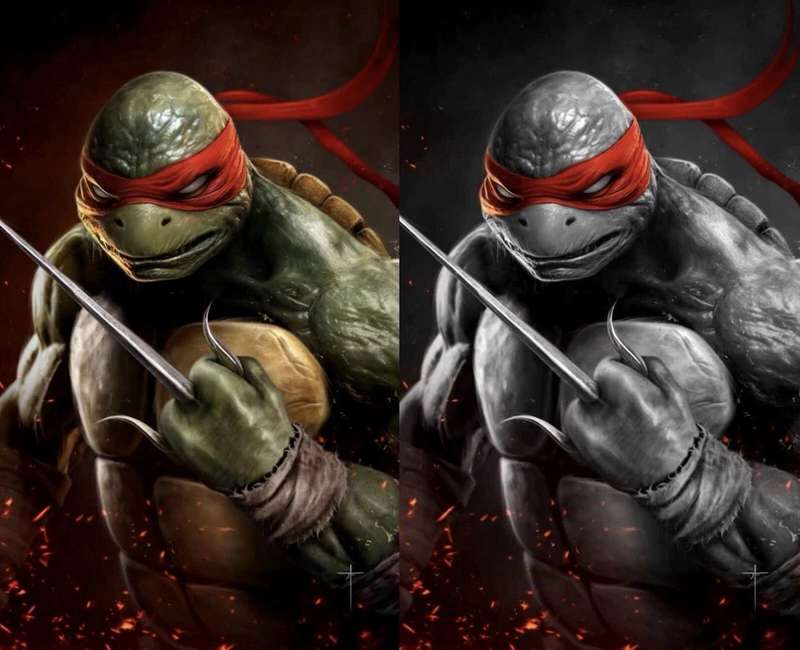 Teenage Mutant Ninja Turtles 1, (2024) Jay Ferguson Exclusive SET