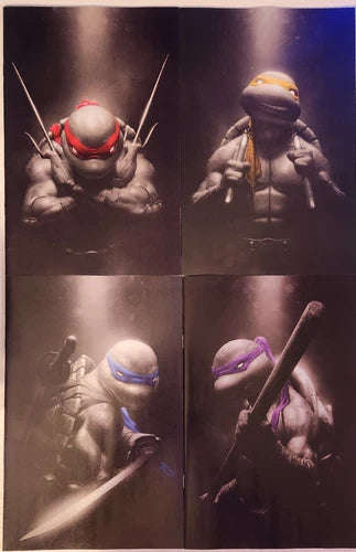 Teenage Mutant Ninja Turtles 1 - 4, Rahzzah Exclusive Colors plash TMNT set, NM