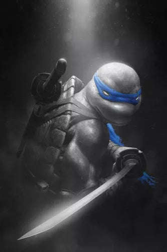 Teenage Mutant Ninja Turtles Rahzzah Leonardo Color Splash, NM