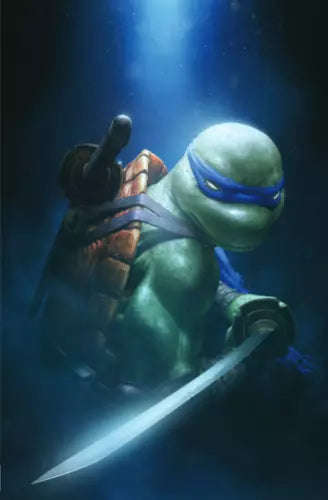 Teenage Mutant Ninja Turtles Rahzzah Leonardo Color, NM