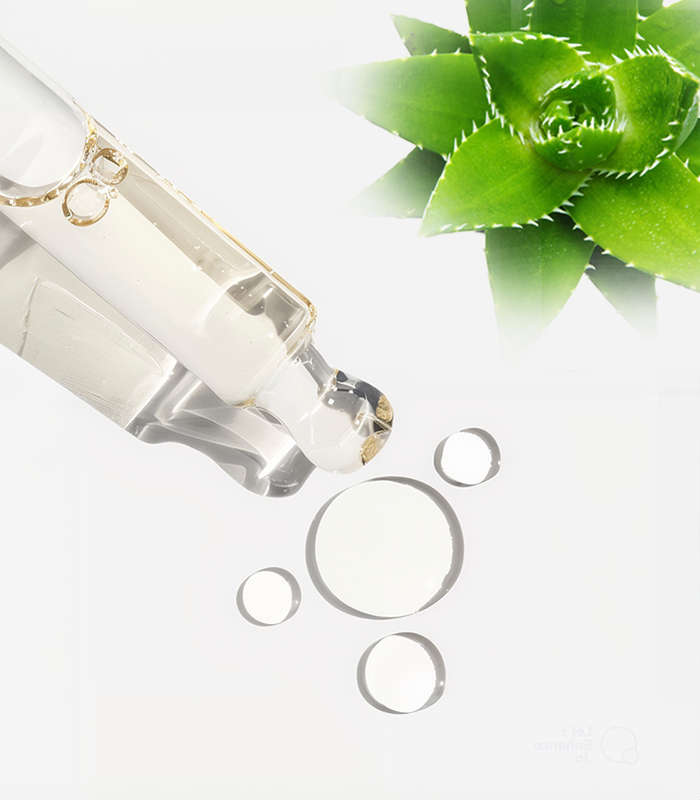 Aloe Ferox Infused Oil