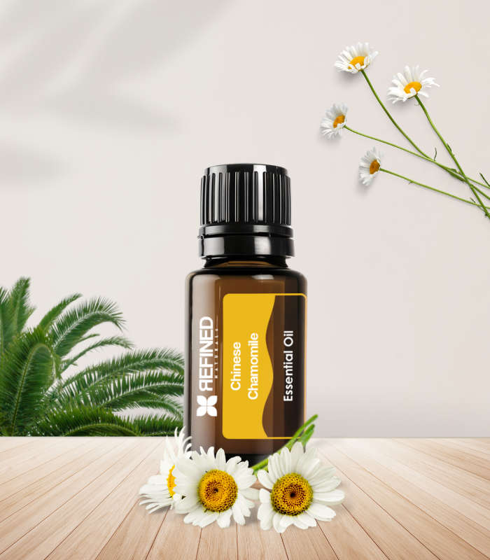 Chinese Chamomile - Essential Oil Blend