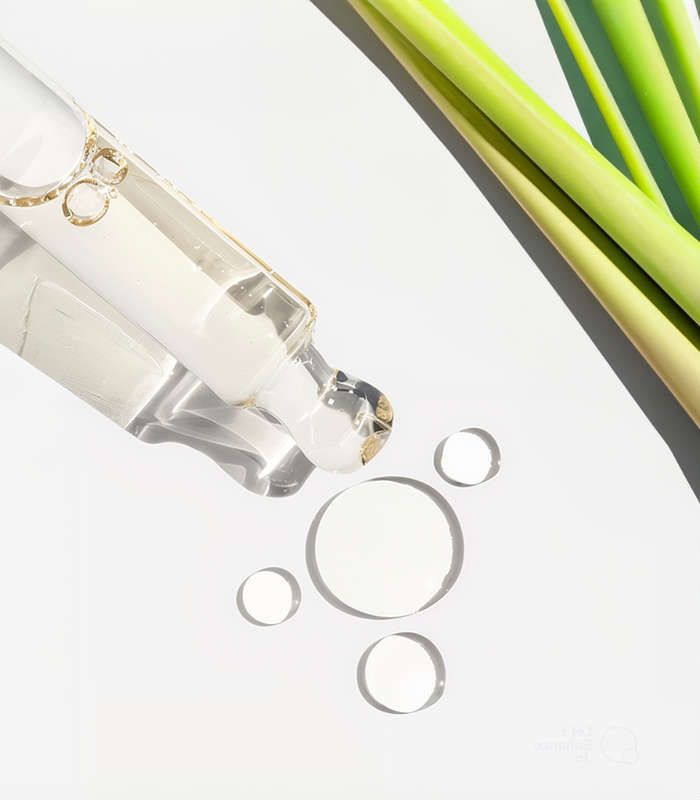 Lemongrass Standard Oil