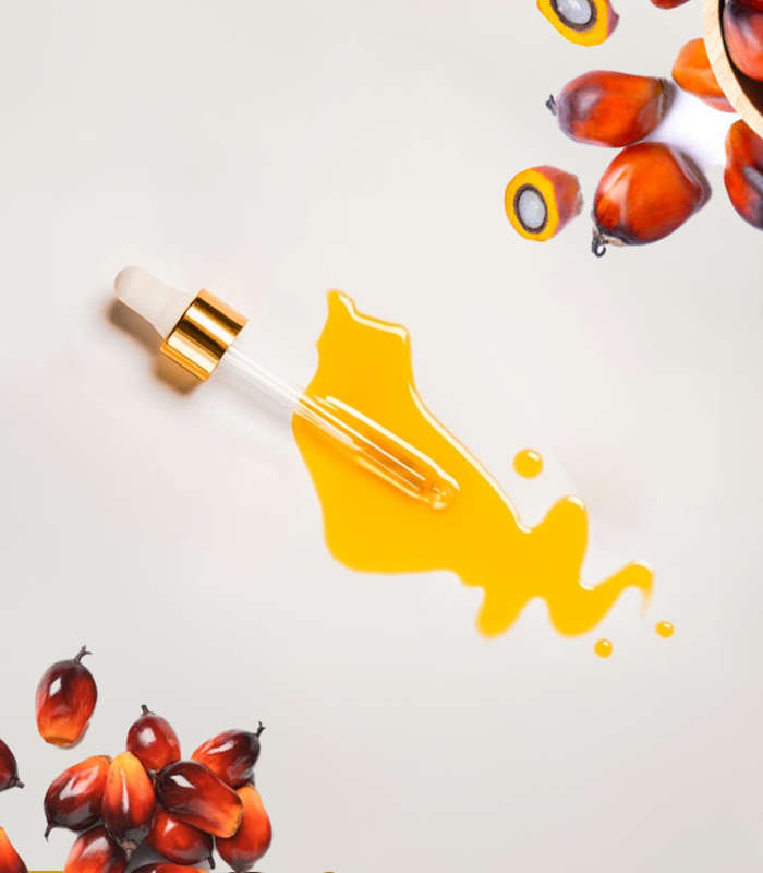 Palm Oil - (Refined)