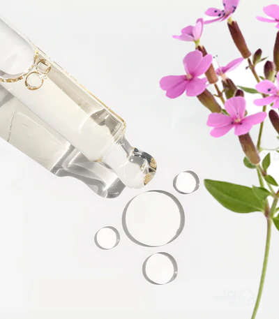 Soapwort Extract
