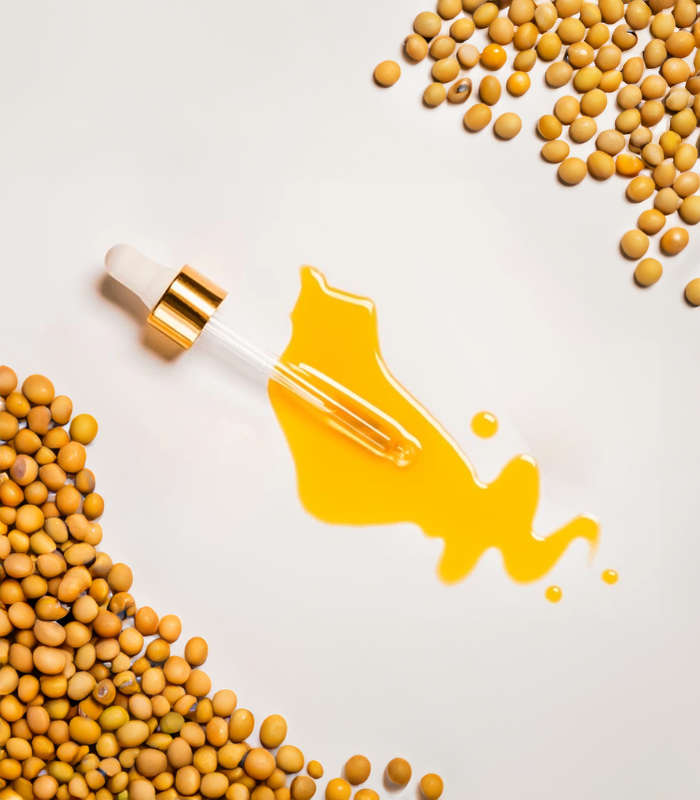 Soya Bean Oil