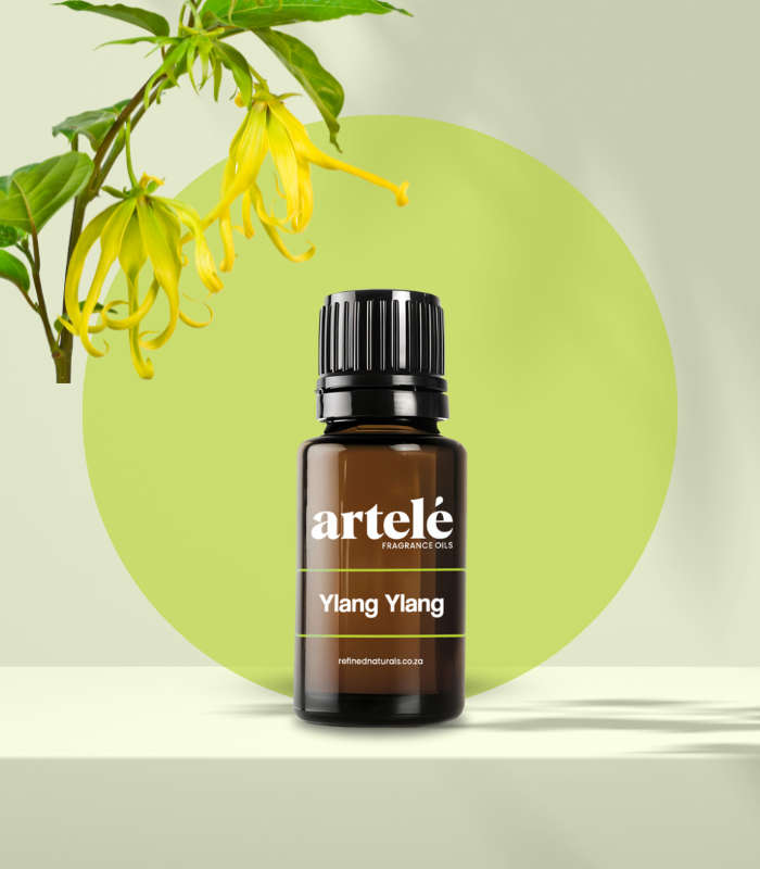 Ylang Ylang Fragrance Oil (Artelé)