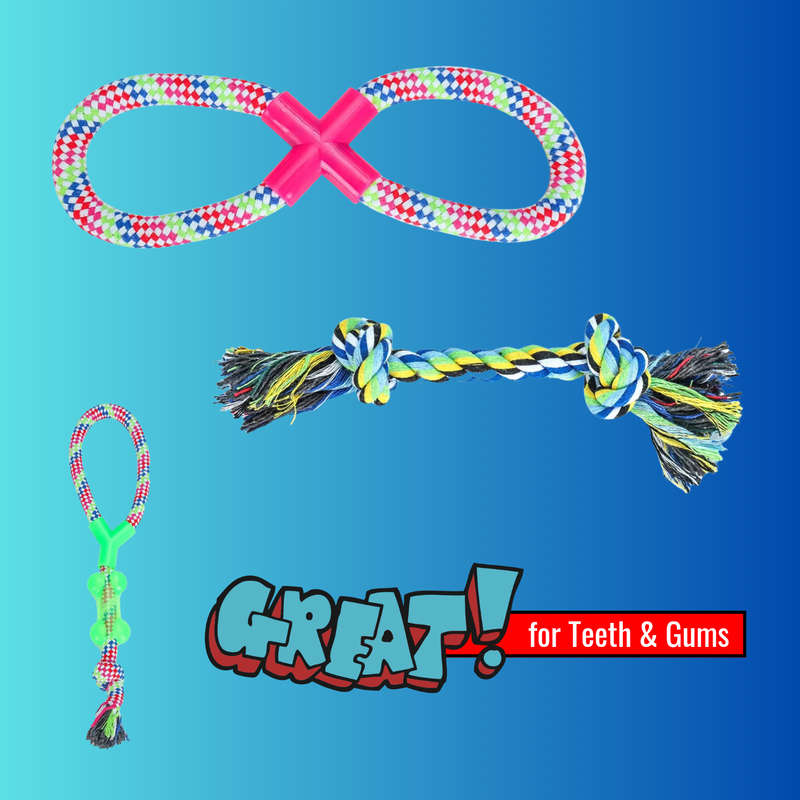 Braided Cotton Rope Dog Toys