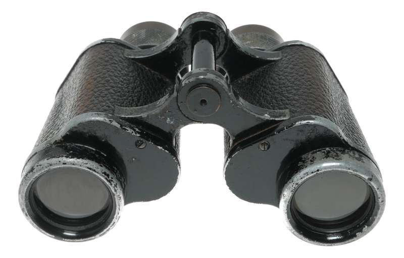 Ross RX 30 8x30 Binoculars