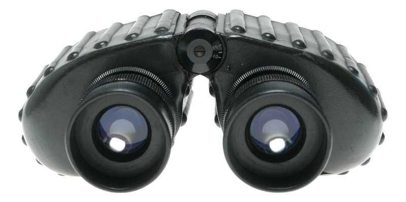 Steiner 6x30 Binoculars from West Germany Model 9106