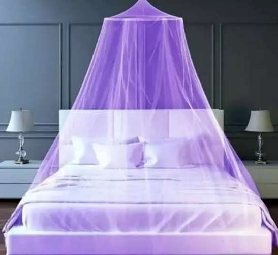 Mosquito net over bed