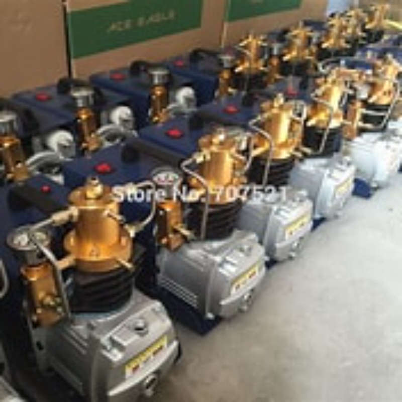 300 BAR PCP COMPRESSOR BASIC MODEL VOLTAGE 220V  ZYS002SS