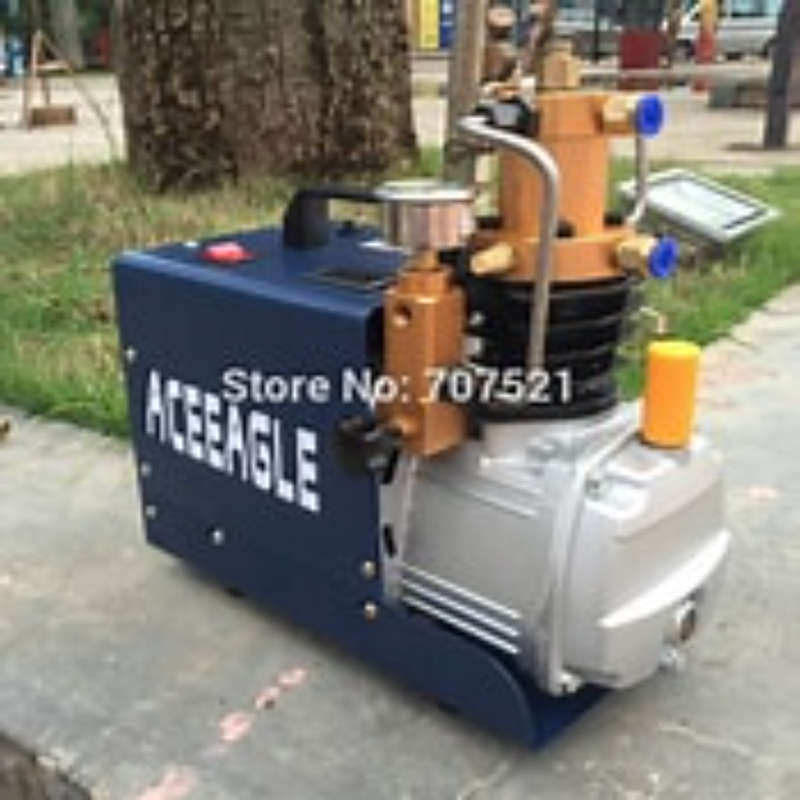 300 BAR PCP COMPRESSOR BASIC MODEL VOLTAGE 220V  ZYS002SS