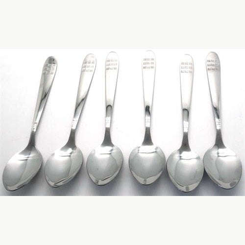 Casey Catering 6 Piece Stainless Steel Dinner Table Spoons