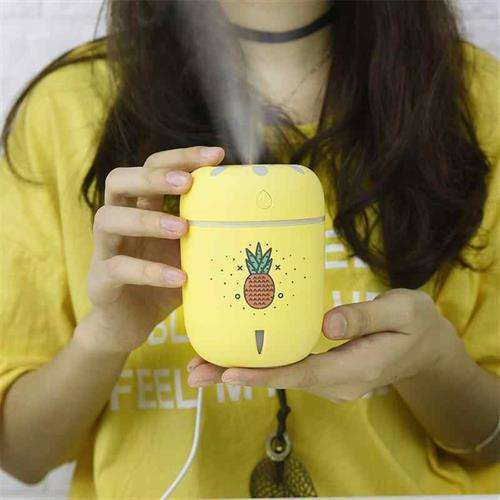 CaseyCamomile Pineapple 220ml USB Humidifier Air Purifier
