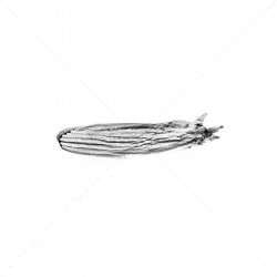 DigiDoor Cable S/D Tension 3x4000 GAH067 - Reliable Door Support