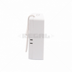 "IDS 2 Channel Receiver with 2 x 3A Relay 433MHz  Wireless Control Solution"