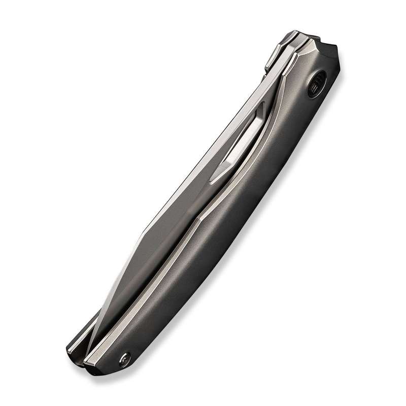WEKNIFE Ignio Flipper & Thumb Hole Knife Titanium Handle (3.3" CPM 20CV Blade) WE22042B-4
