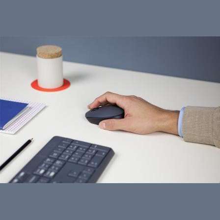Logitech M170 Wireless Mouse