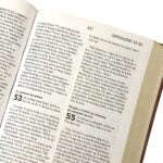 SESOTHO 1909 SO complete Bible, medium size, brown vinyl softcover, gilt-edged, ribbon marke