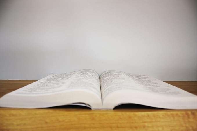 NIV, Outreach Large Print Bible for Kids, Paperback Paperback  Large Print,