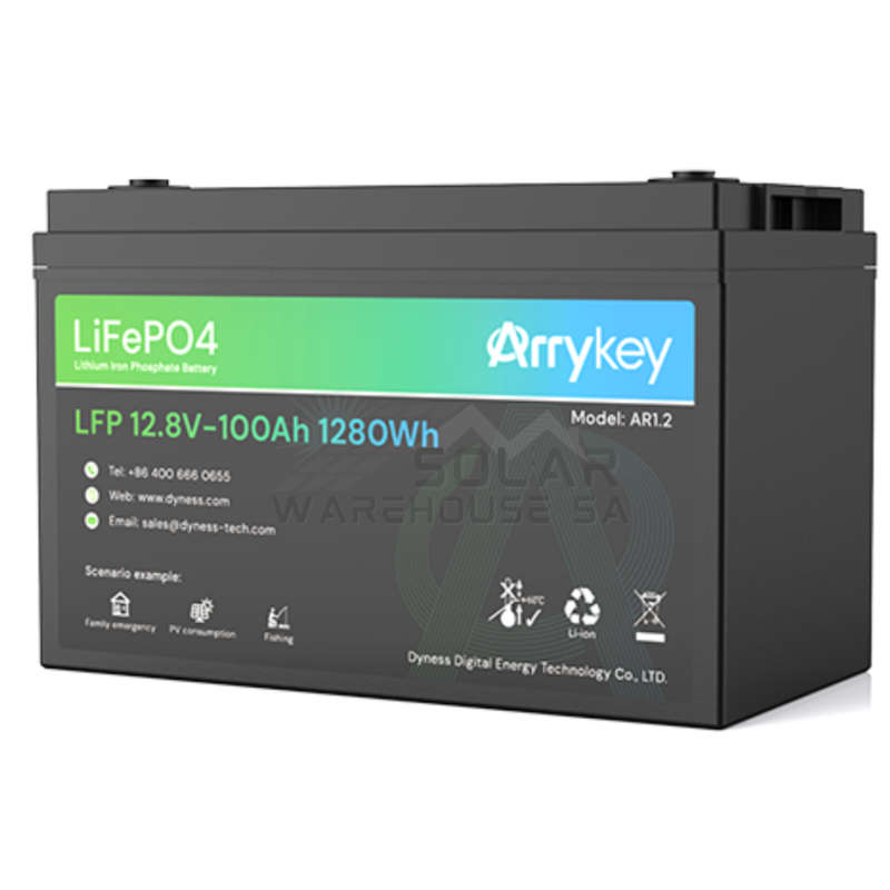 12.8v 100 AH LV Lithium Battery LiFePO4 Dyness LR1.2