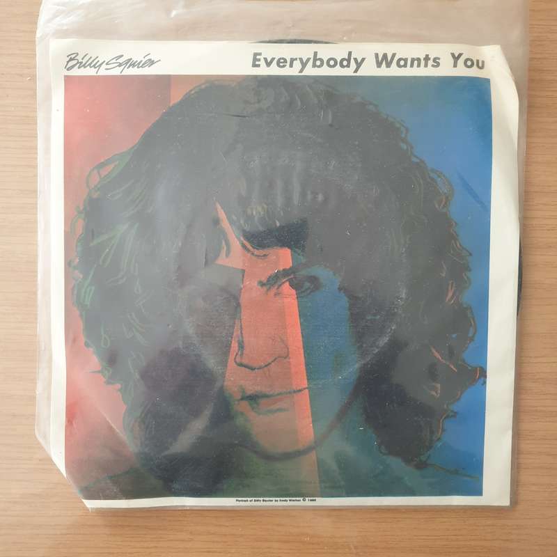 Billy Squier  Everybody Wants You - Vinyl 7" Record - Very-Good+ Quality (VG+) (verygoodplus7)