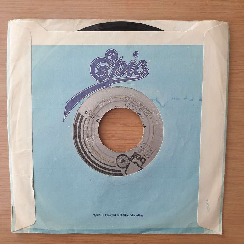 Terry Jacks  Seasons In The Sun - Vinyl 7" Record - Very-Good Quality (VG)  (verry7)