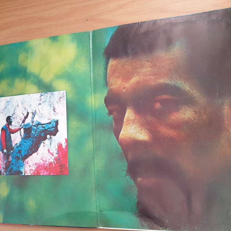 Richie Havens  Richard P. Havens 1983 - Vinyl LP Record - Very-Good- Quality (VG-) (minus)