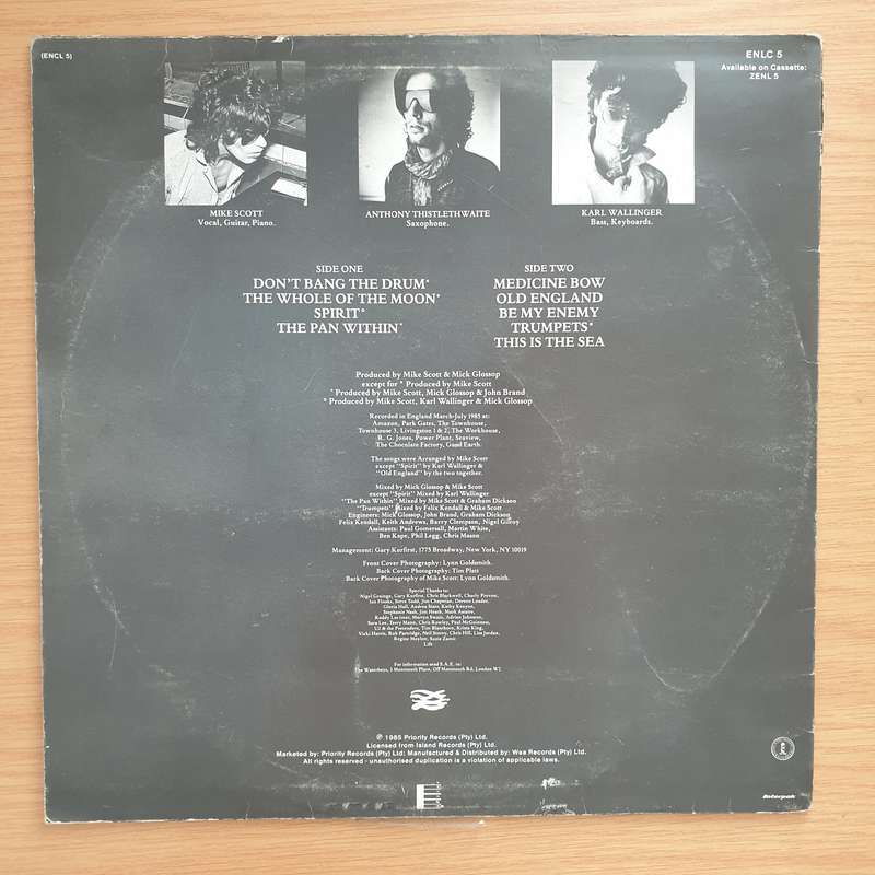 The Waterboys  This Is The Sea - Vinyl LP Record - Very-Good Quality (VG) (verry)