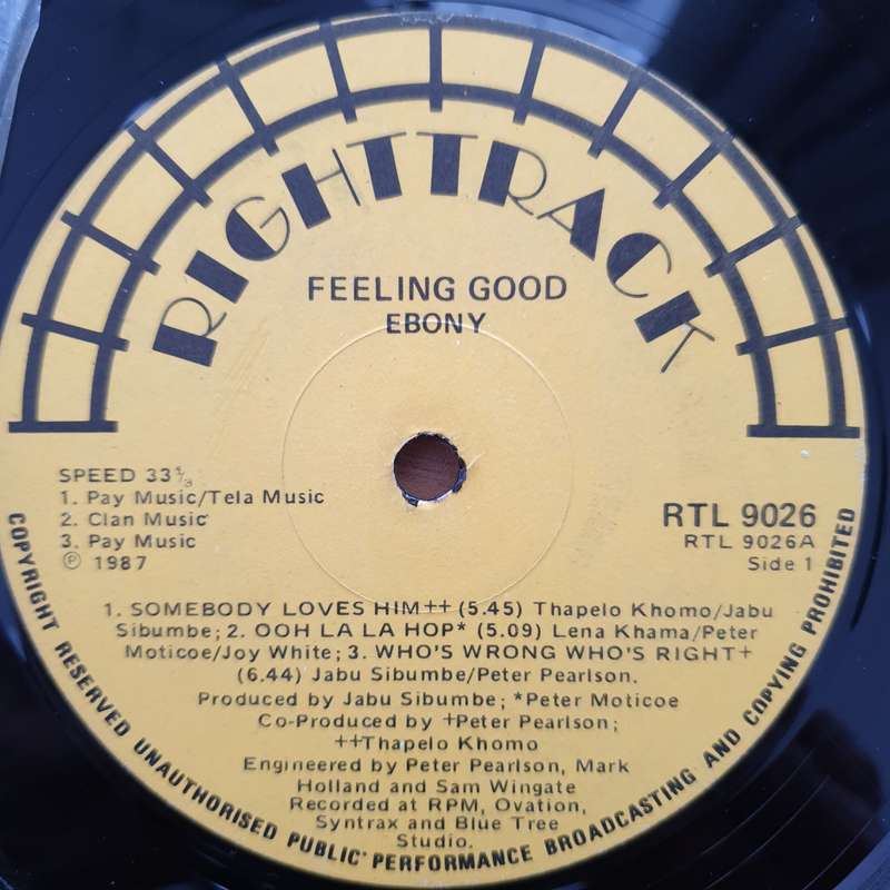 Ebony  Feeling Good - Vinyl LP Record - Good+ Quality (G+) (gplus)