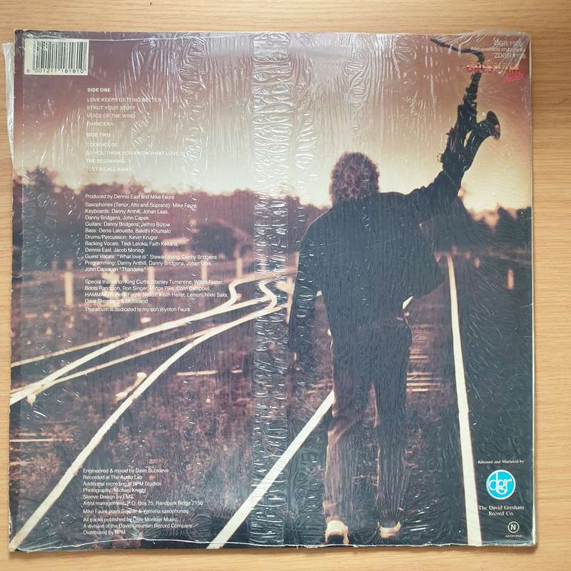 Mike Faure - Voices of the Wind - Vinyl LP Record - Very-Good+ Quality (VG+) (verygoodplus)