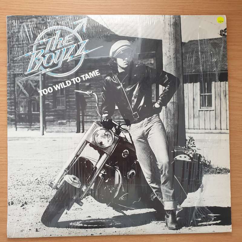 The Boyzz  Too Wild To Tame - Vinyl LP Record - Very-Good+ Quality (VG+)