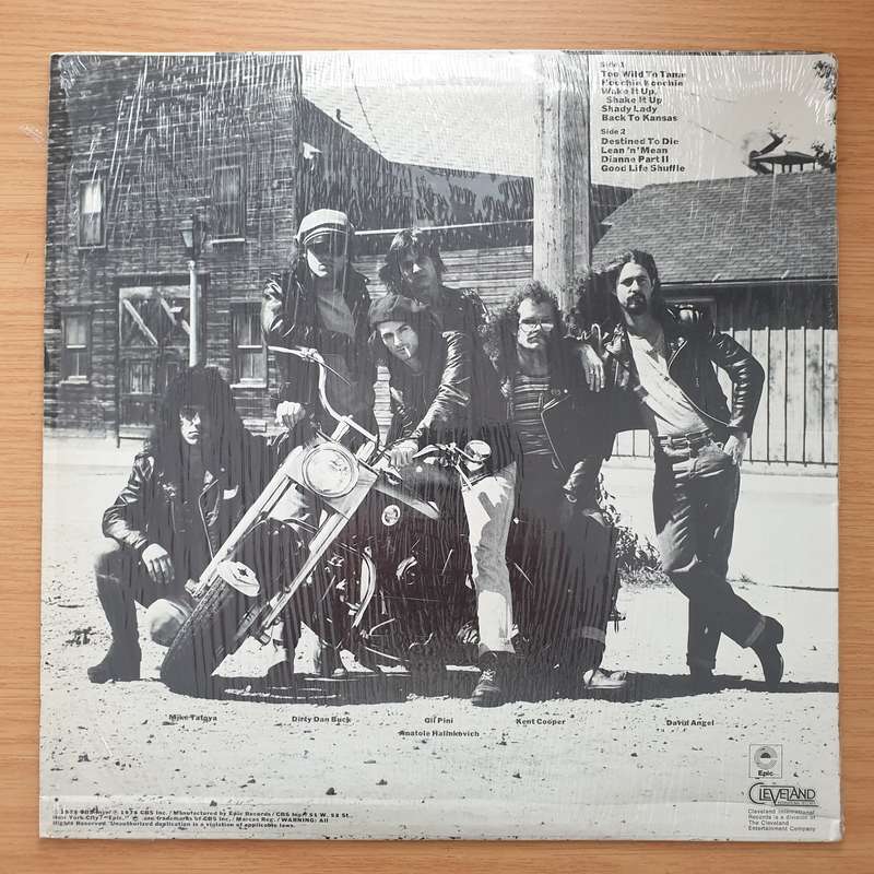 The Boyzz  Too Wild To Tame - Vinyl LP Record - Very-Good+ Quality (VG+)