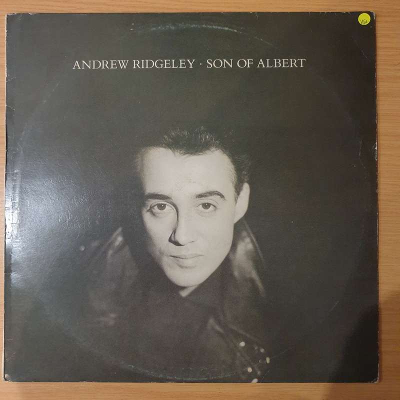 Andrew Ridgeley  Son Of Albert - Vinyl LP Record - Opened  - Very-Good+ Quality (VG+)